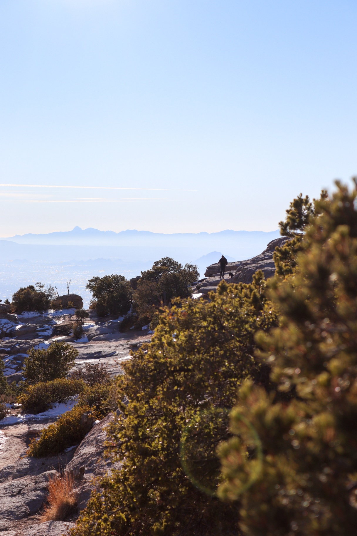 Ridge Line: Landscape · Catalina Highway by Xander Uselmann